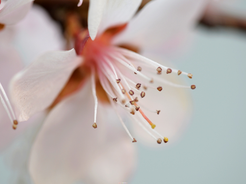 春暖花开 摄影 渔夫码头