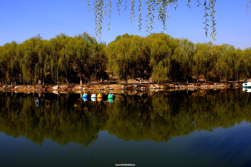 满都海小景 摄影 原始摄会