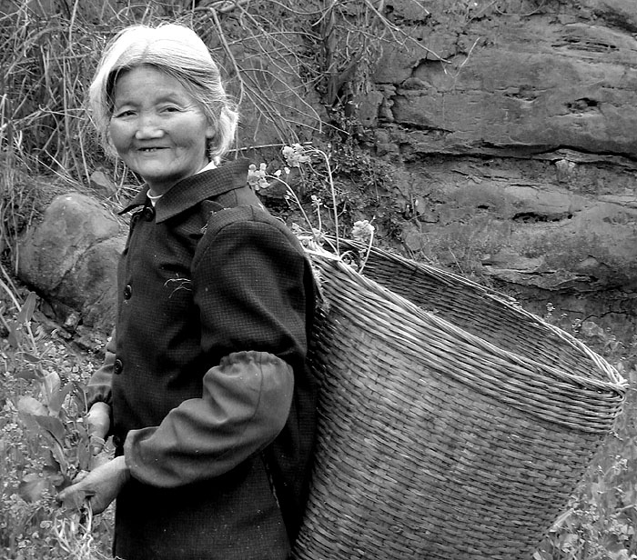 油菜花 摄影 紫色女人