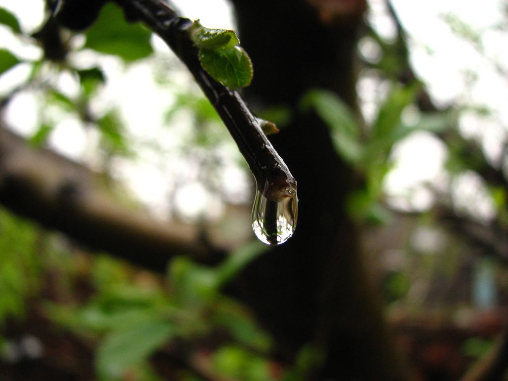 雨中 摄影 小范儿