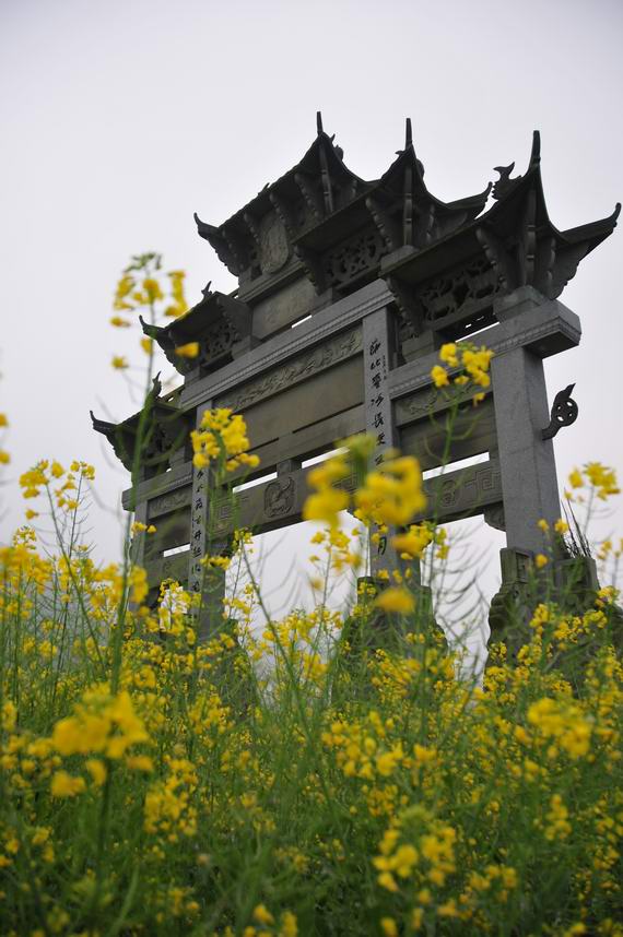 无题 摄影 雨中飞