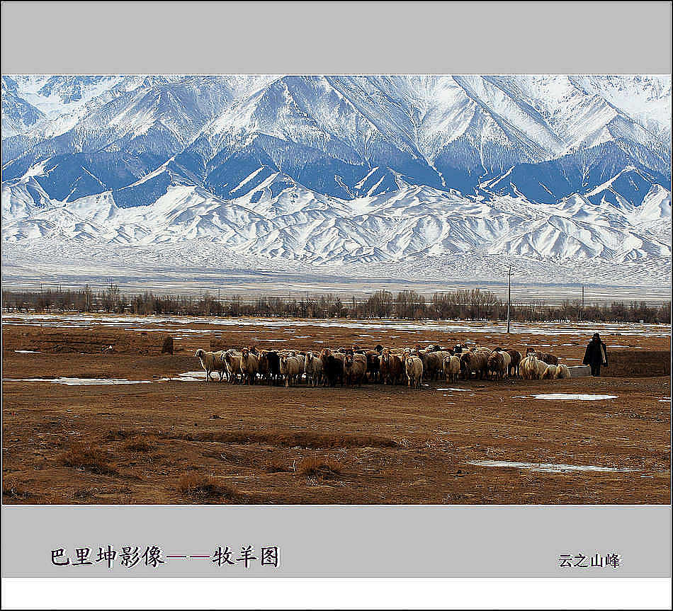 巴里坤影像——牧羊图 摄影 云之山峰