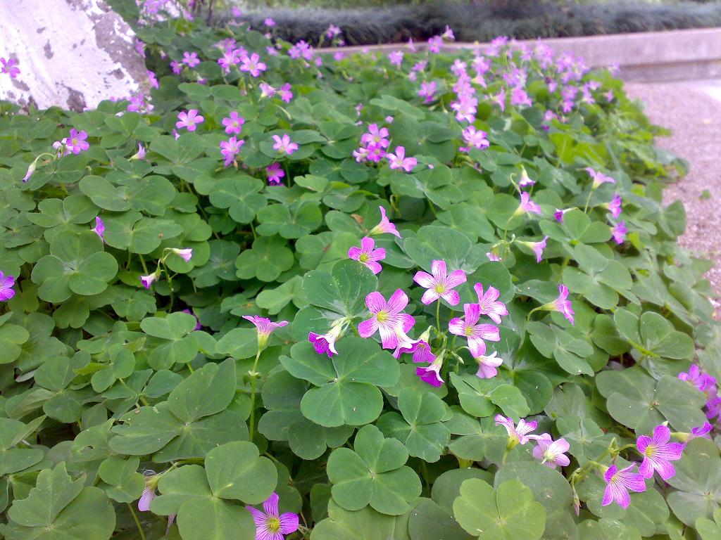 3月初春 摄影 雨韧珈