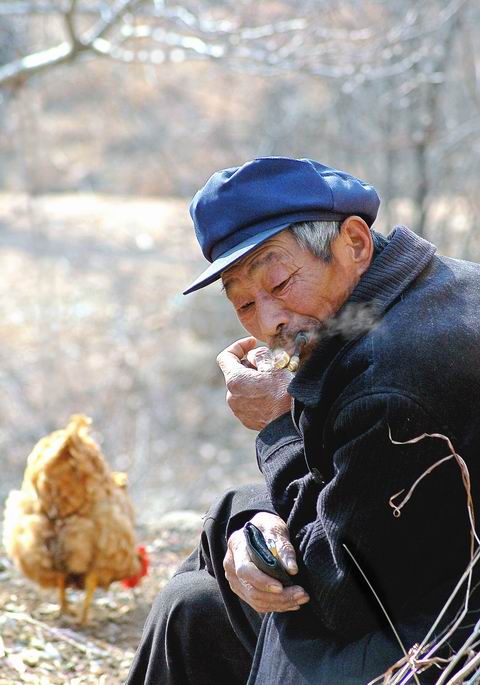 乡村老人 摄影 yuandian