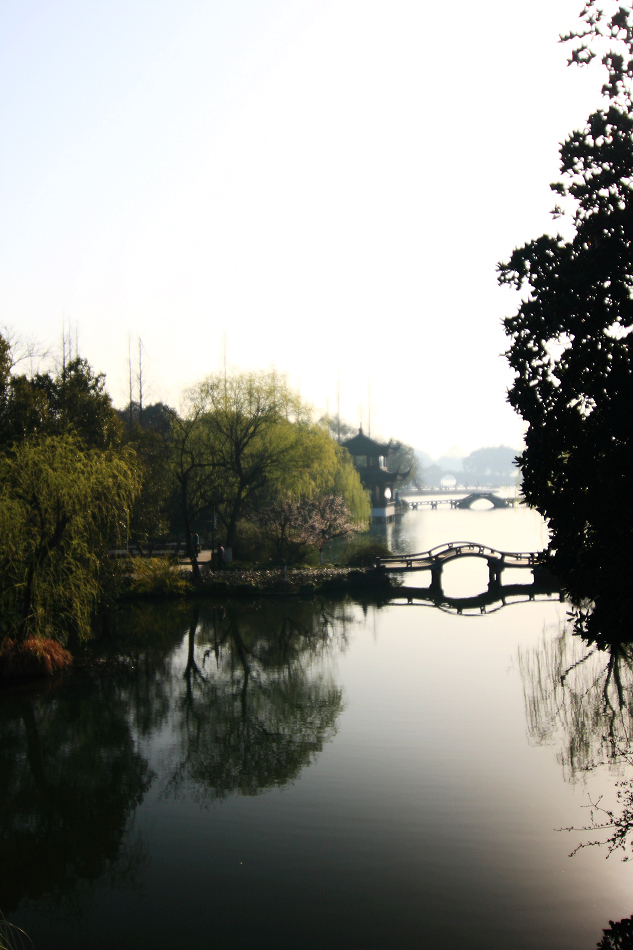 曲院晨曦 摄影 玲珑碧空