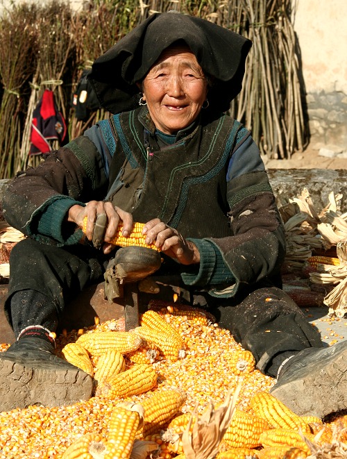 彝寨印象(丰收的喜悦} 摄影 萍萍