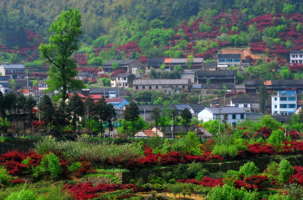 春染小山村 摄影 紫竹常绿