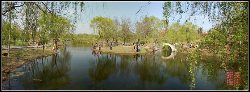 春色 摄影 changjiaoju