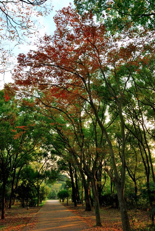 风景在远处，幸福就在路上 摄影 江原