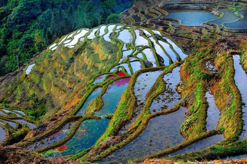 哈尼梯田（1）：地球仪 摄影 阿牧