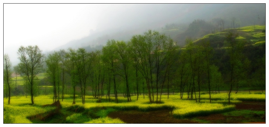 春雨 摄影 暮蓝