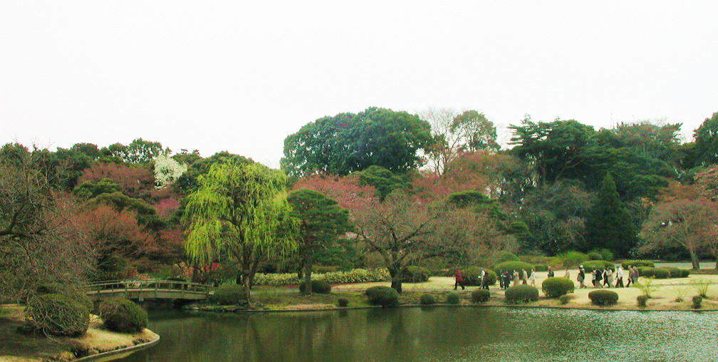 春到庭院--3 摄影 mitaka