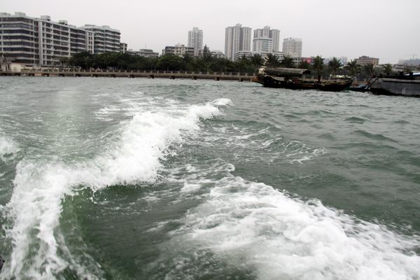 海港湛江 摄影 摄园一兵