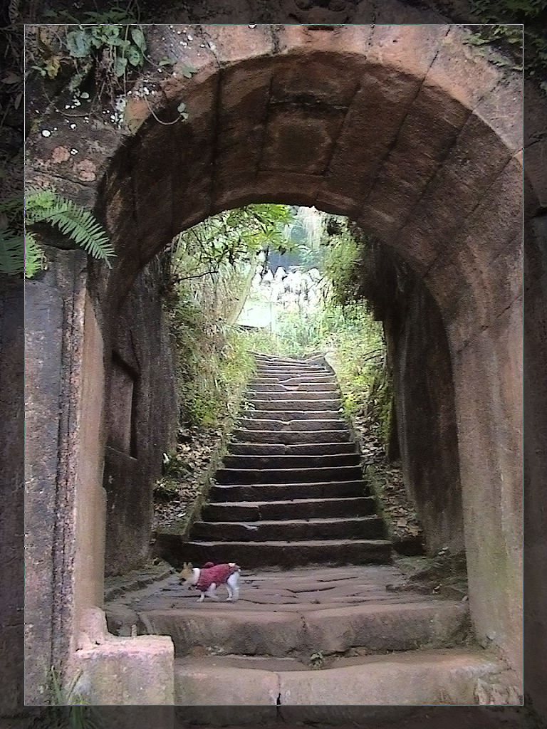 通往山顶的路(泸洲方山) 摄影 快乐就是健康