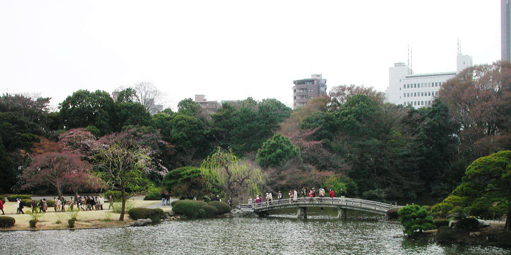 春到庭院--4 摄影 mitaka