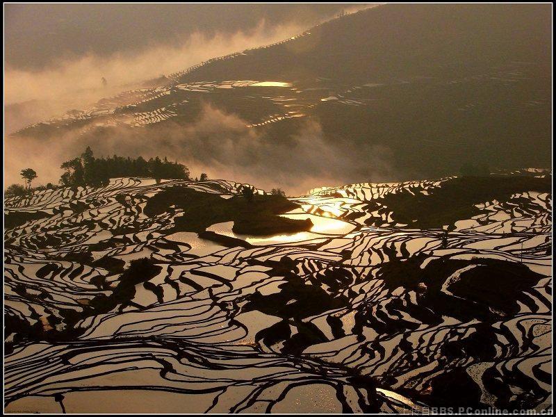 元阳梯田 摄影 桂花城