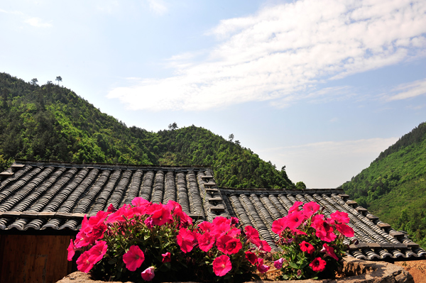 《花园农家》 摄影 山水情缘