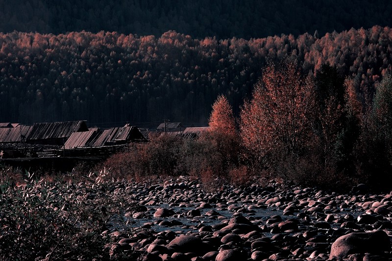 禾木小景 摄影 caidi5568826