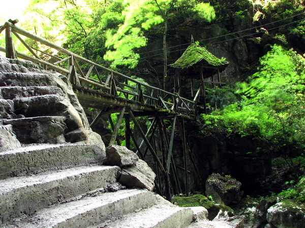 九龙沟 摄影 欧来恩