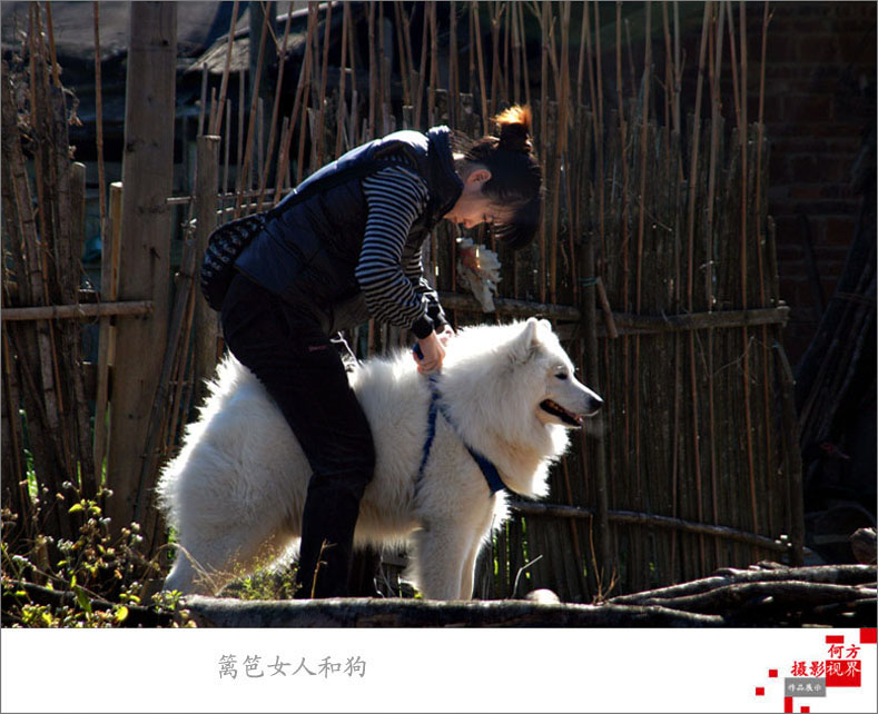 篱笆女人和狗 摄影 何方