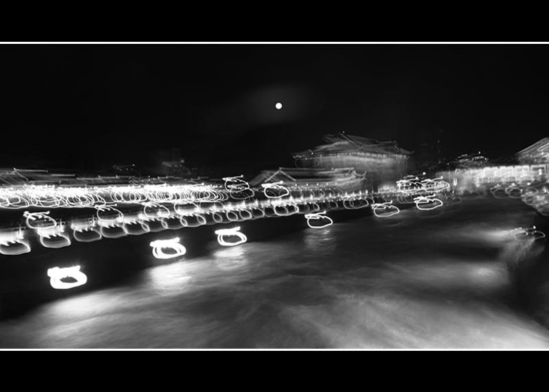 都江夜景 摄影 激蒺藜野菊