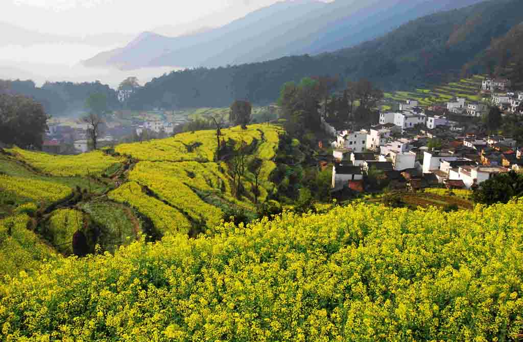 江岭村 摄影 茅台