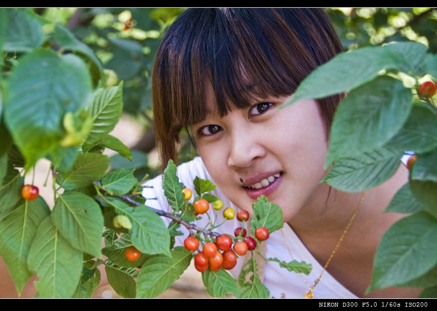 樱桃好吃 摄影 杨子一一