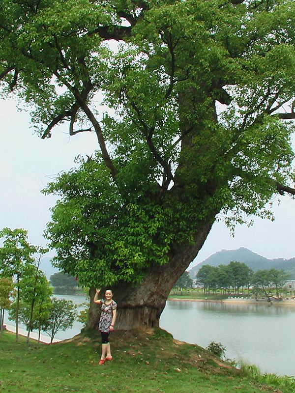 福荫 摄影 huangying324