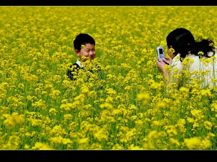 油菜花开的时候 摄影 吉祥三宝