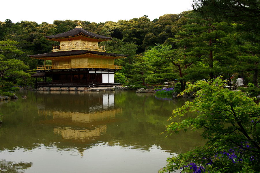 京都金阁寺...请放大欣赏 摄影 美香