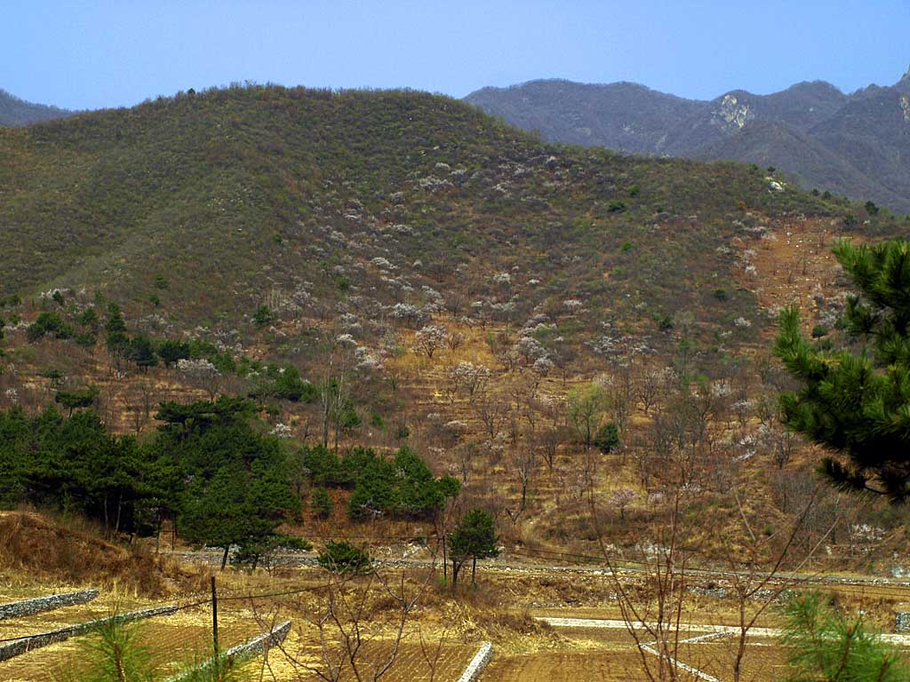 面对大山 摄影 姚顺