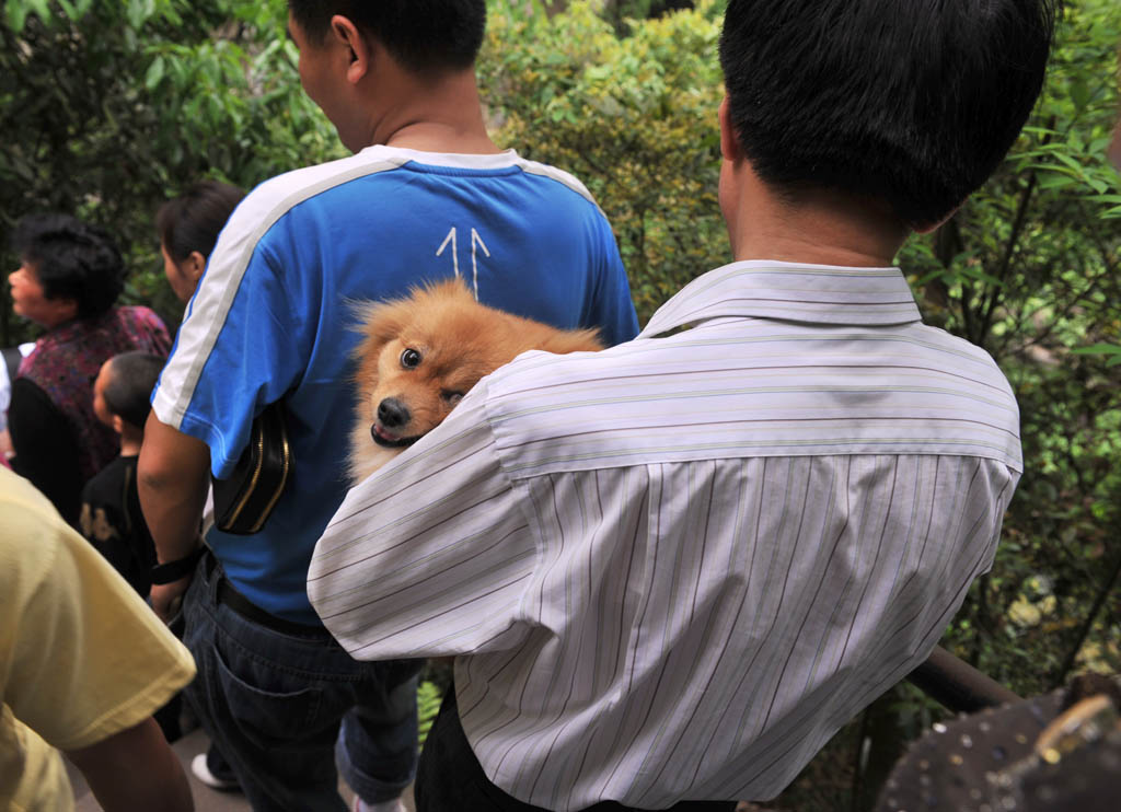 玩累了抱抱我 摄影 阿农学艺