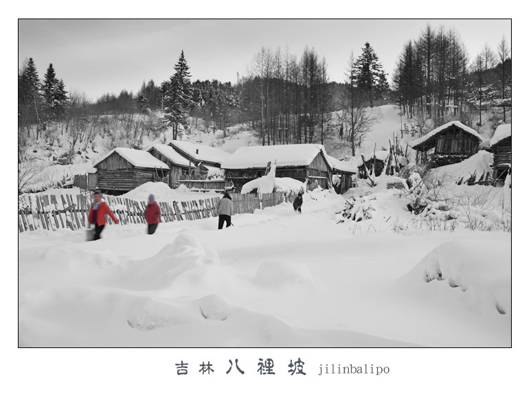 八里坡-吉林雪乡 摄影 古道西丰