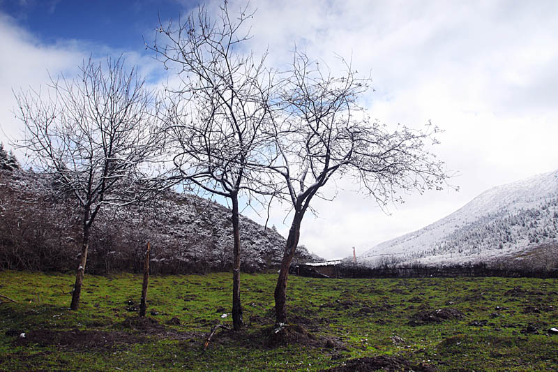 雪山小景 摄影 巴渝边民