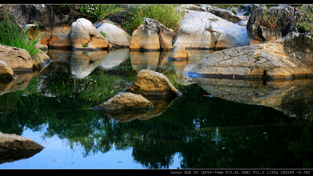 盆景 摄影 碧朗