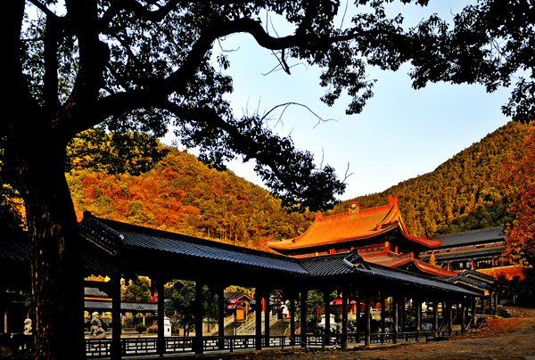 《寺院深秋》 摄影 山水情缘