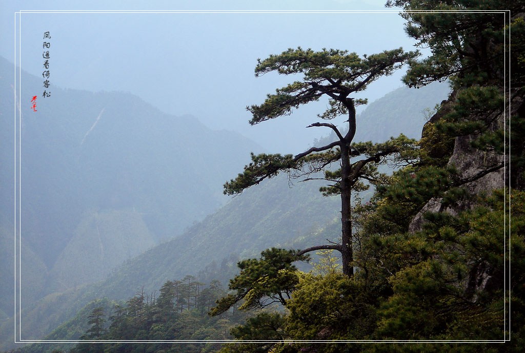 凤阳山 02 摄影 念念