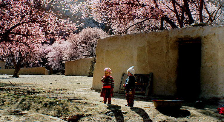 帕米尔杏花村 摄影 雨辰1960