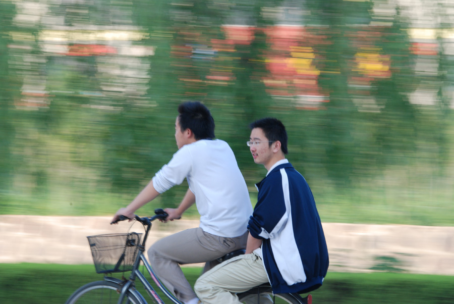 路上 摄影 秋水晨雾