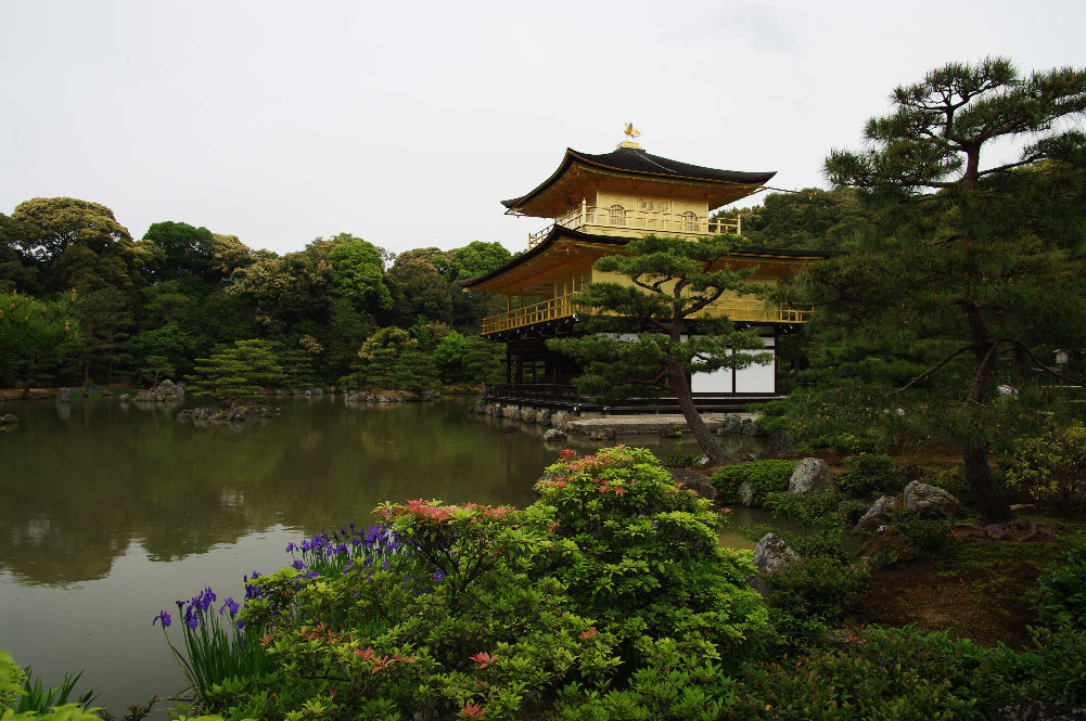 京都金阁寺...请放大欣赏 摄影 美香