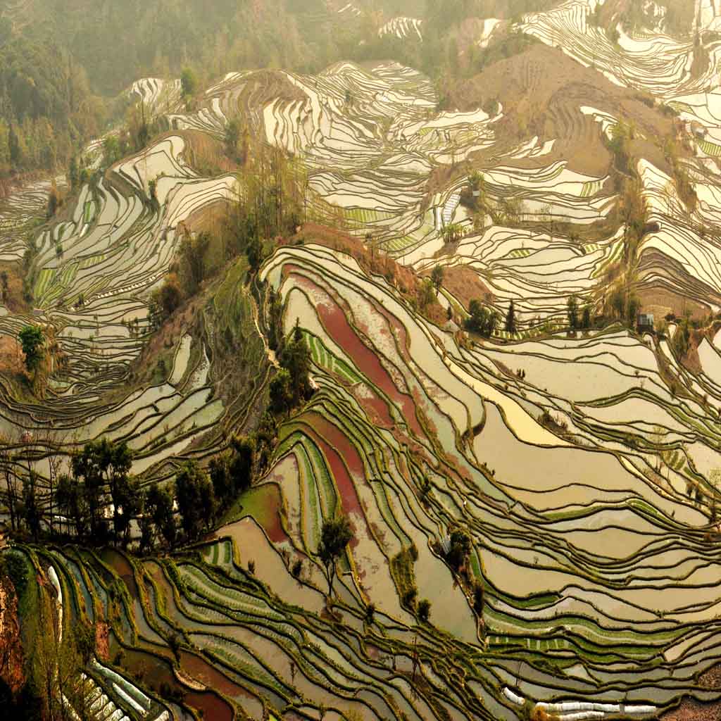 梯田脉络 摄影 隔海遥望