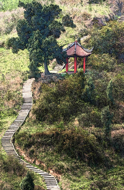 山路 摄影 青城樵夫