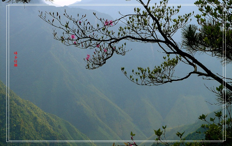 凤阳山 03 摄影 念念