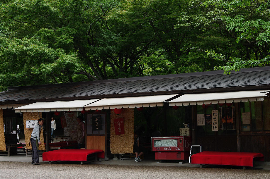 京都金阁寺内茶座一瞥...请放大欣赏 摄影 美香