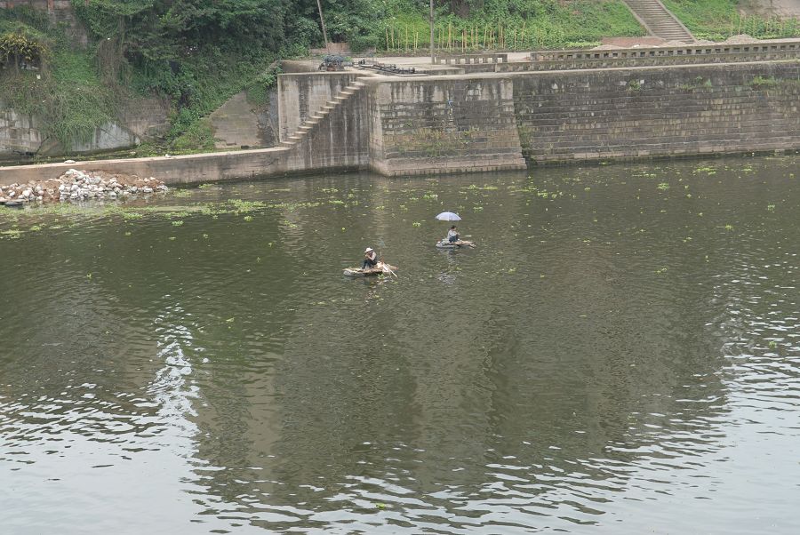 管他风吹浪打，我自乐逍遥 摄影 陈家小妹