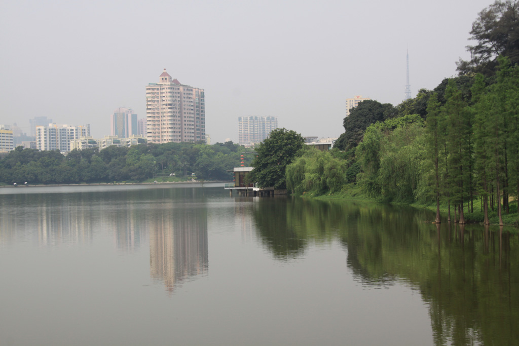 广州麓湖公园 摄影 红尘外