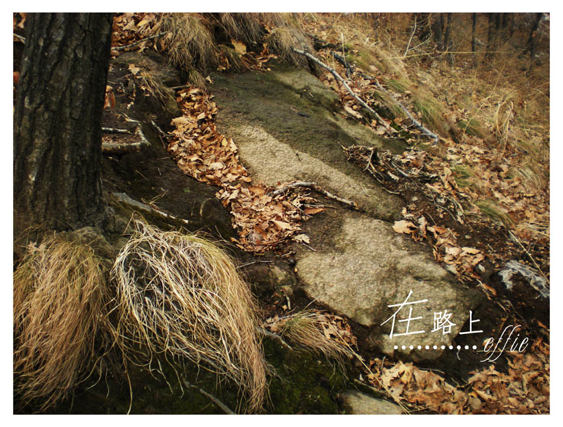 风景，就我们走过的地方 摄影 effiesong