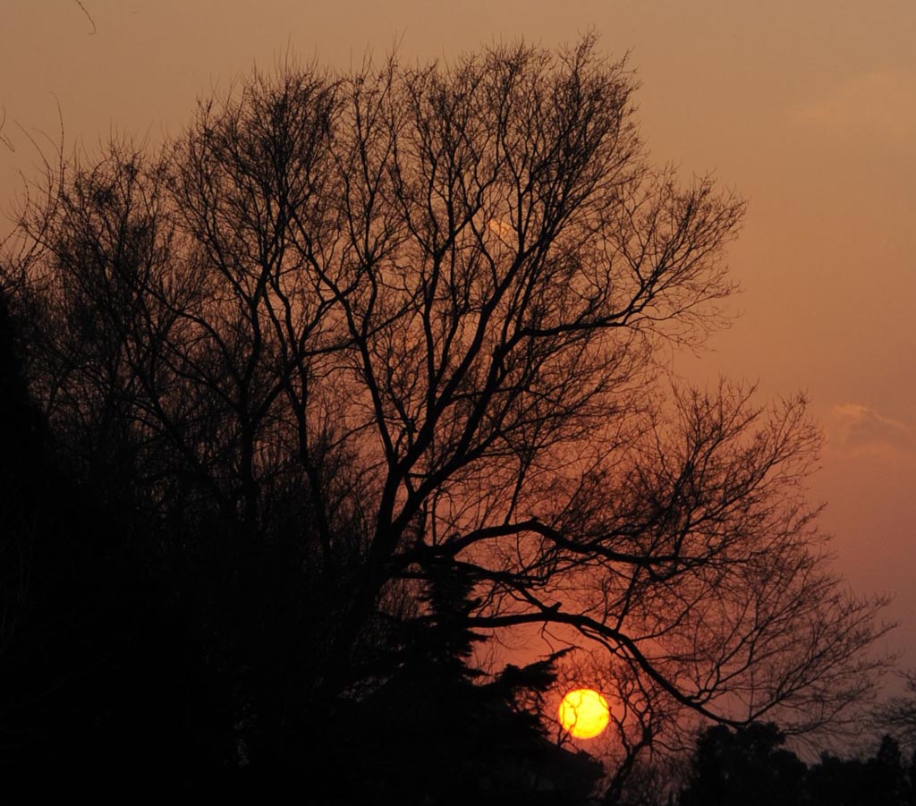 冬日的夕阳 摄影 没有长进