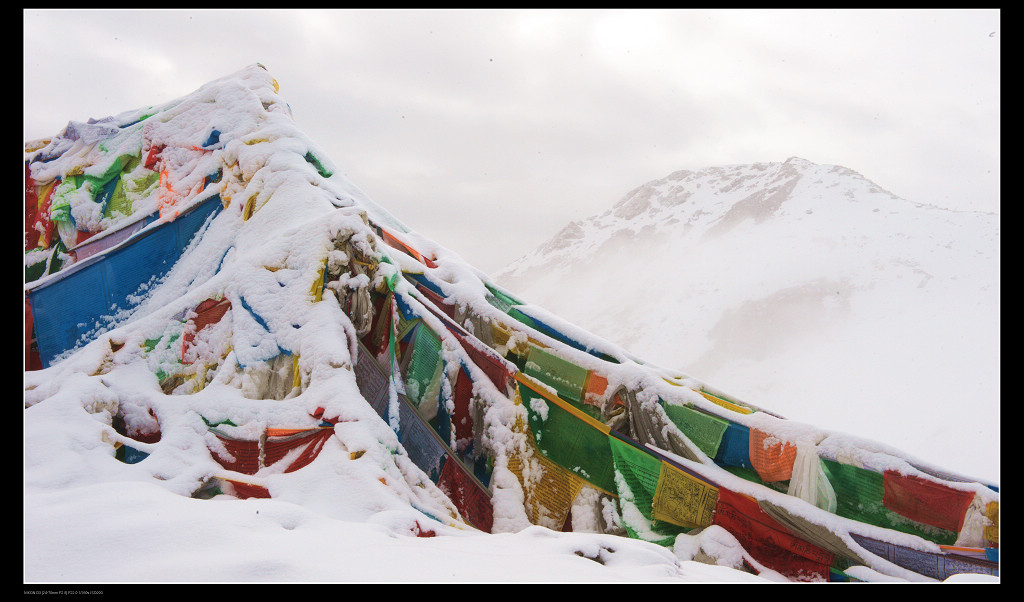 高山雪域经幡 摄影 广信驿站