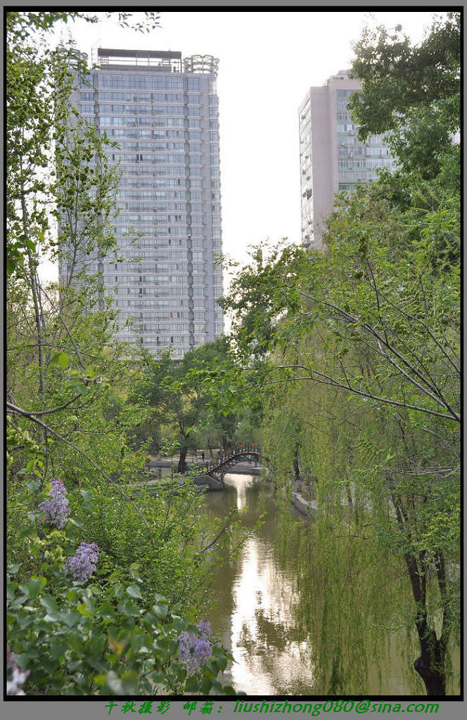 城市花园 摄影 日行千里